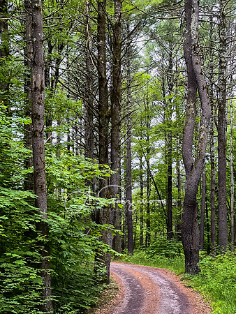 Getaway - Catskills East 2024