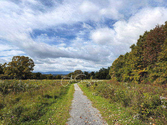 Greenport Conservation Area, Hudson NY