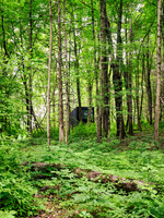 Getaway - Catskills East 2024