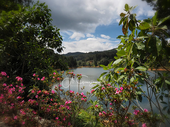 Arvi National Park, Colombia