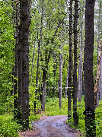 Getaway - Catskills East 2024