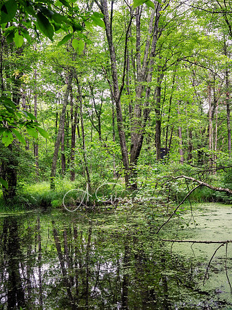 Getaway - Catskills East 2024