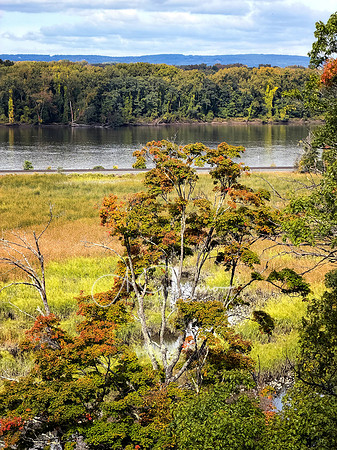 Greenport Conservation Area, Hudson NY
