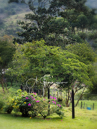 Carolina del Principe, Carolina, Colombia