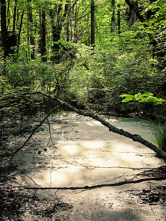 Getaway - Catskills East 2024