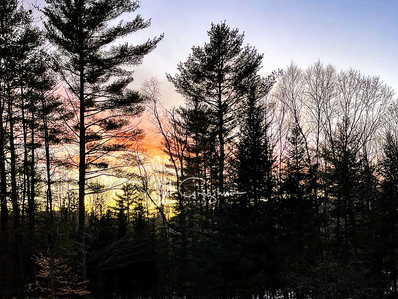 Winter Twilight - Adirondacks