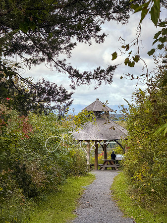 Greenport Conservation Area, Hudson NY