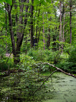 Getaway - Catskills East 2024