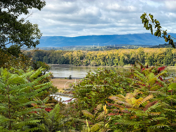 Greenport Conservation Area, Hudson NY