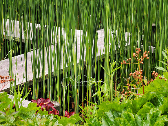 Landcraft Gardens