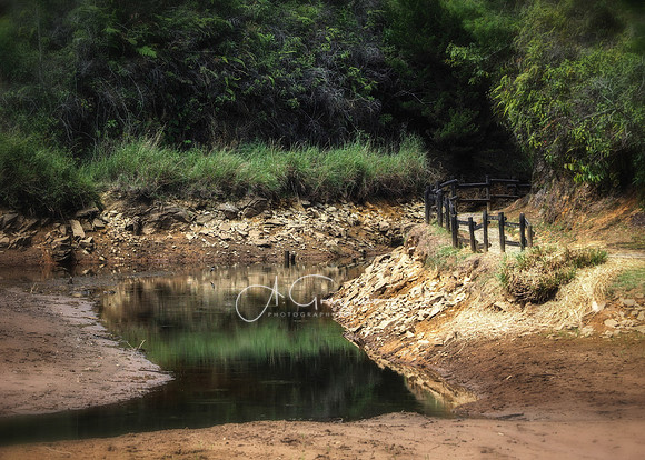 Arvi National Park, Colombia