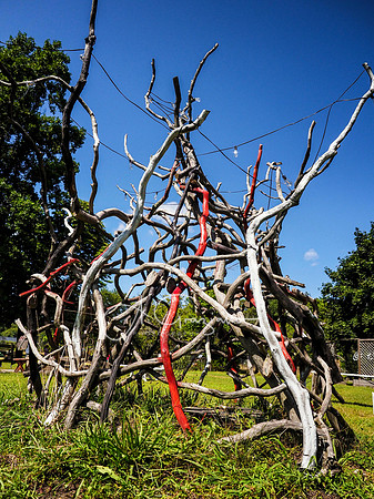 CEED Art on the Trail 2024