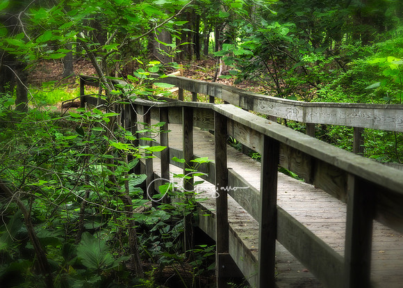 Elizabeth A. Morton Wildlife Refuge
