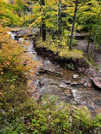 Kaaterskill Falls