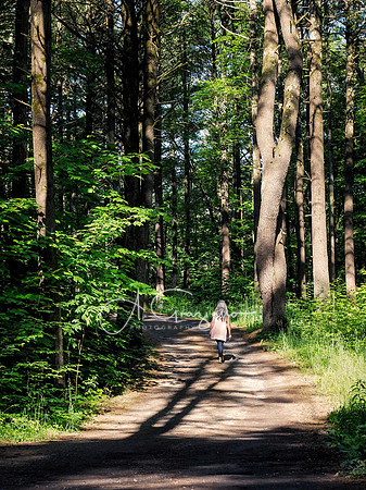 Getaway - Catskills East 2024