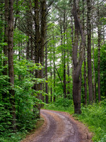 Getaway - Catskills East 2024