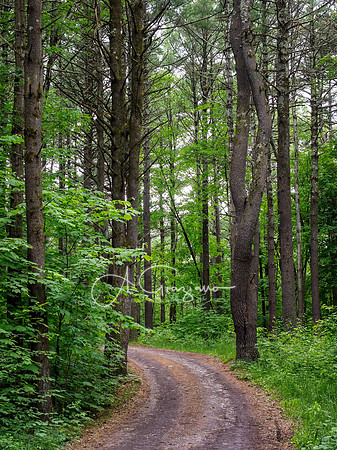 Getaway - Catskills East 2024