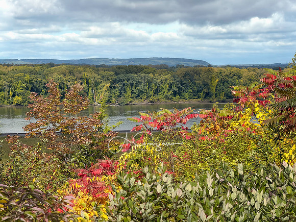 Greenport Conservation Area, Hudson NY