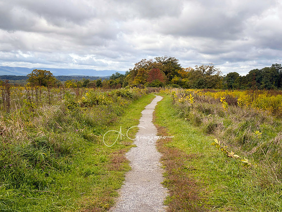Greenport Conservation Area, Hudson NY