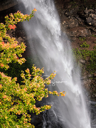 Kaaterskill Falls
