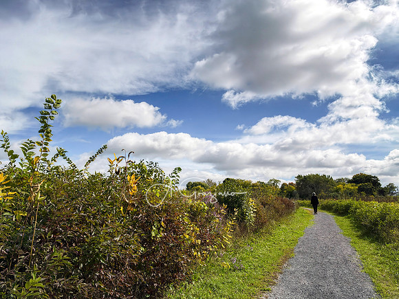 Greenport Conservation Area, Hudson NY