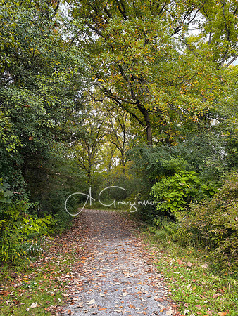 Greenport Conservation Area, Hudson NY