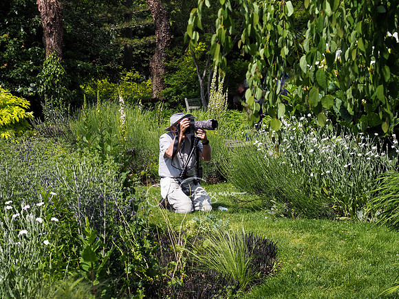 Landcraft Garden Foundation Workshop