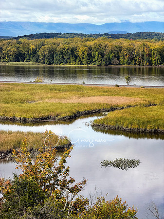 Greenport Conservation Area, Hudson NY