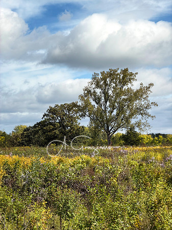 Greenport Conservation Area, Hudson NY