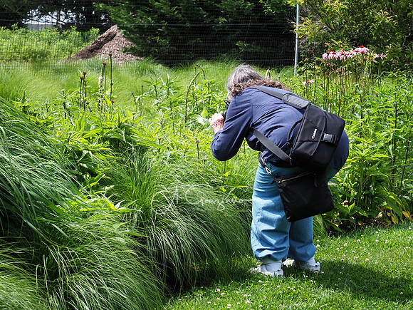 Landcraft Garden Foundation Workshop