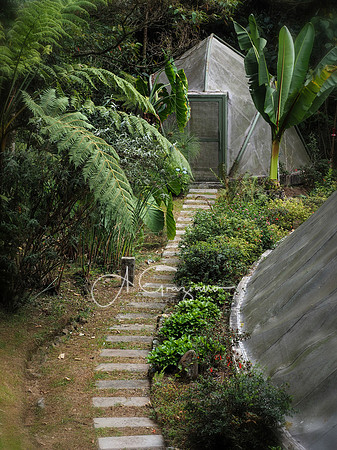 Arvi National Park, Colombia