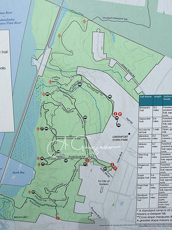 Greenport Conservation Area, Hudson NY
