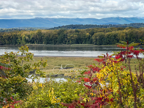 Greenport Conservation Area, Hudson NY