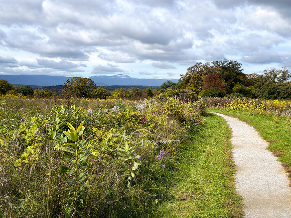Greenport Conservation Area, Hudson NY