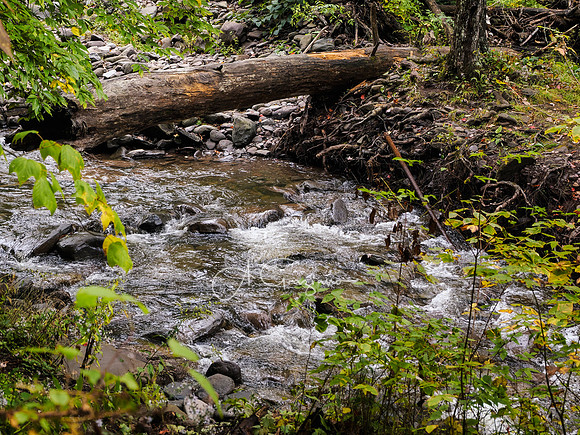 Kaaterskill Falls