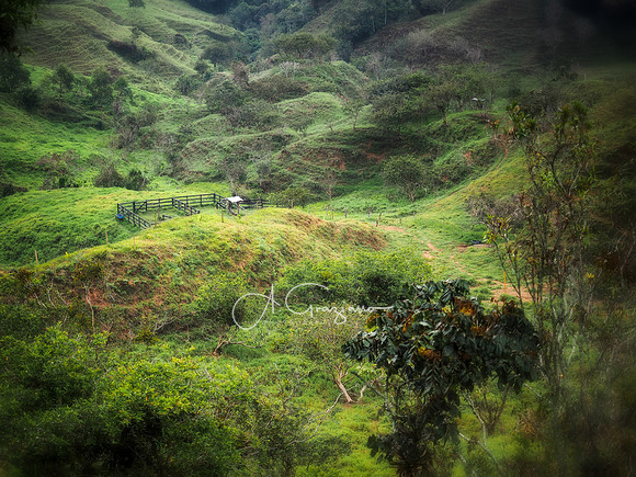 Carolina del Principe, Carolina, Colombia