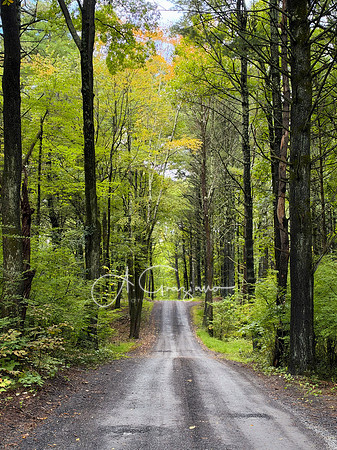 Postcared Cabins - Catskills East