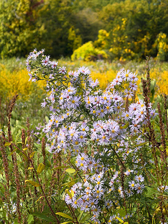Greenport Conservation Area, Hudson NY