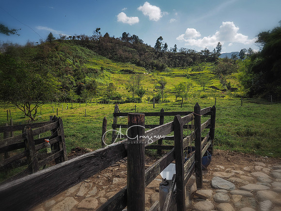 Carolina del Principe, Carolina, Colombia