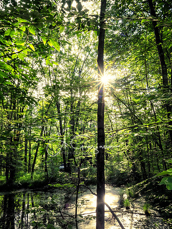 Getaway - Catskills East 2024