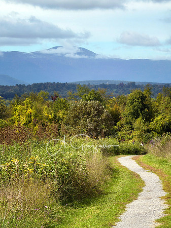Greenport Conservation Area, Hudson NY