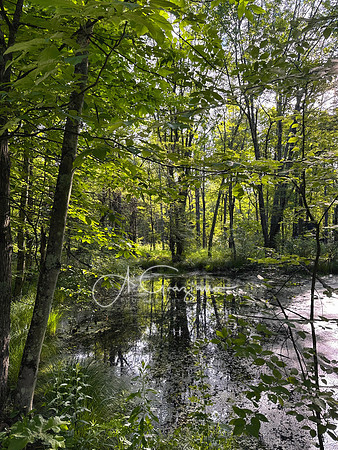 Getaway - Catskills East 2024