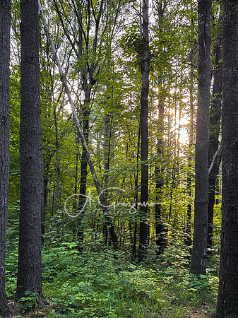 Getaway - Catskills East 2024