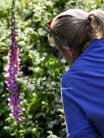 Landcraft Garden Foundation Workshop