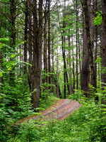 Getaway - Catskills East 2024