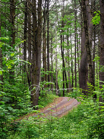 Getaway - Catskills East 2024