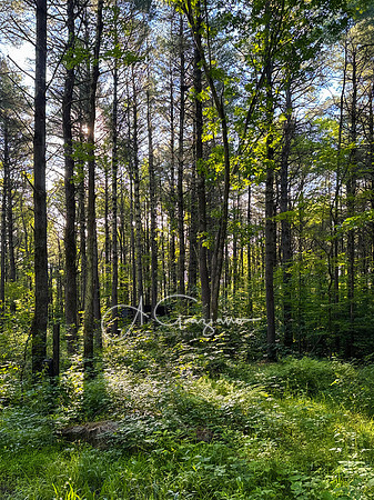 Getaway - Catskills East 2024