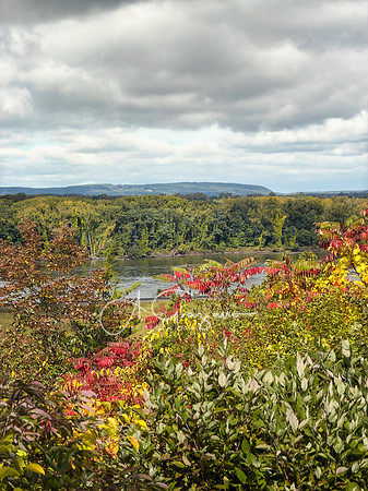Greenport Conservation Area, Hudson NY