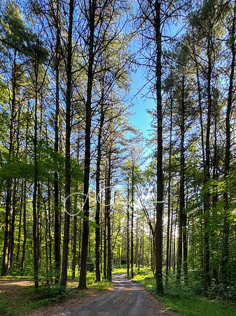 Getaway - Catskills East 2024