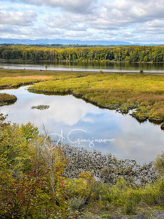 Greenport Conservation Area, Hudson NY